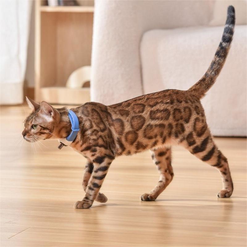Pet Cat Toy Laser Collar